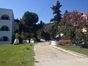 Property grounds - Maistrali Studios (Skiathos)