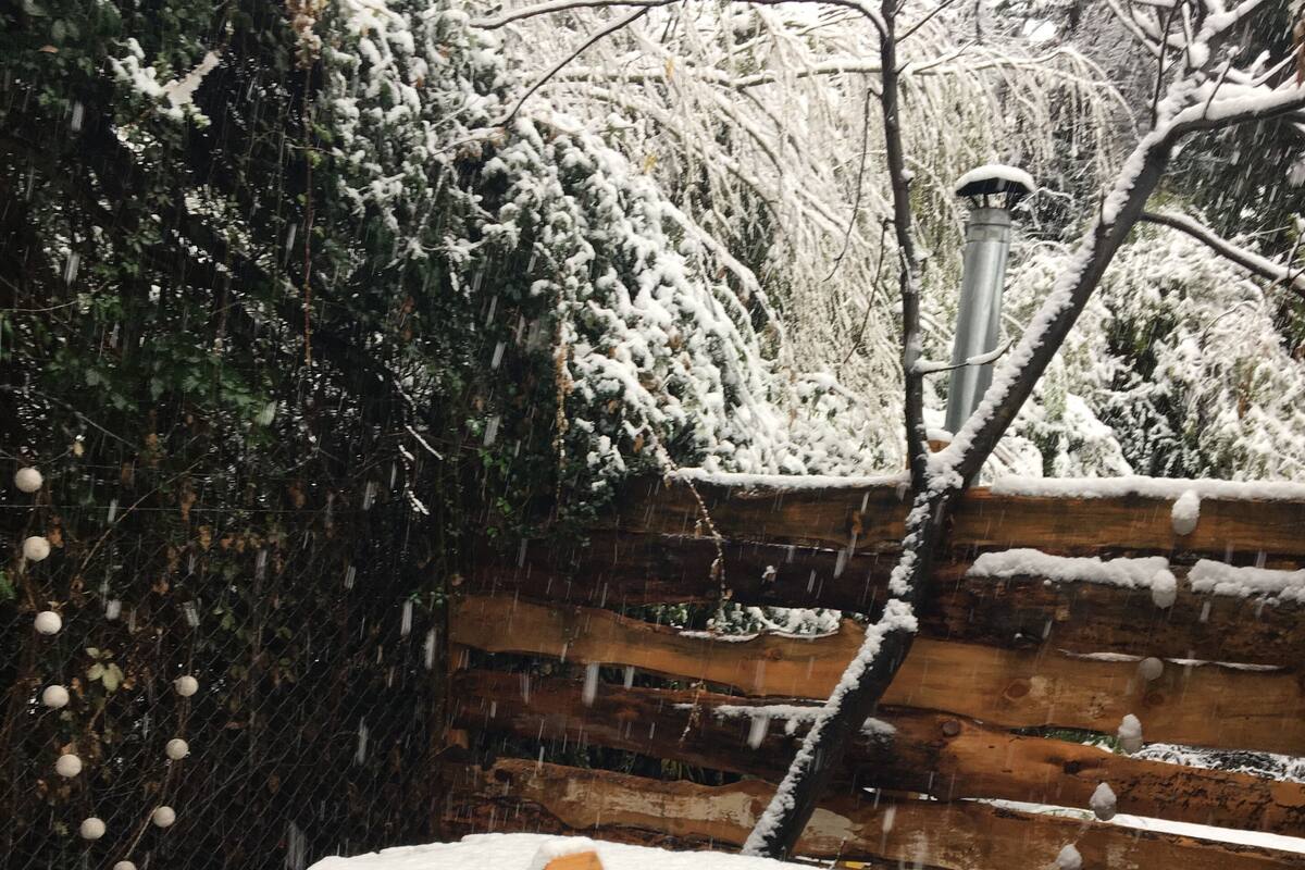 Un jacuzzi de madera rodeado de árboles cubiertos de nieve y una cerca de madera.