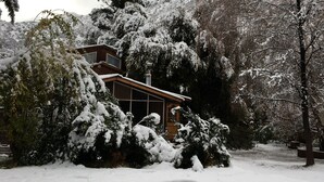 Une maison entourée d’arbres couverts de neige, avec une montagne en arrière-plan.