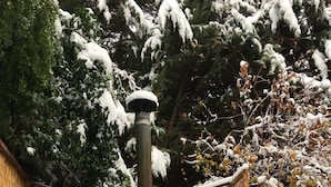 Un bain à remous en bois, doté d’un banc, entouré d’une clôture en bambou et de plantes recouvertes de neige.