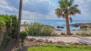 A coastal landscape with two palm trees, a pathway, and a view of the sea. - Resitour - Apollo Beach Villas (Chlorakas)