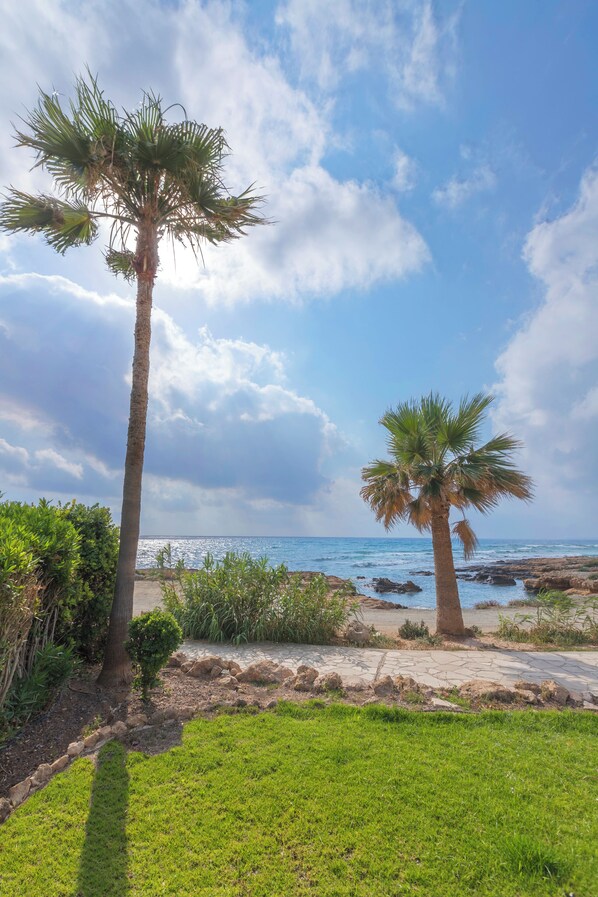 إطلالة على الحديقة