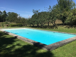 Outdoor pool, pool umbrellas, pool loungers