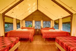 A room with two beds, wooden flooring, and large windows.