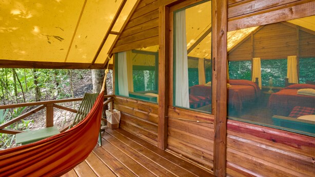 Una cabaña de madera con una hamaca en el porche, ventanas amplias y vistas al bosque.