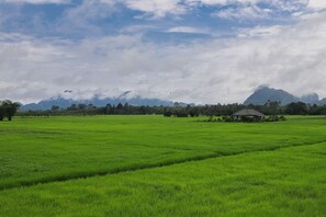 Unclassified image, 2 of 21, button