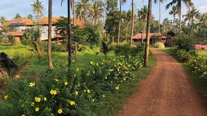 A rural road flanked by lush greenery and yellow flowers, leading to a cluster of houses with red roofs. - Rasa Gurukul (Chalakudy)