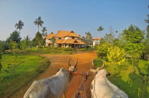 Traditional house amidst lush green surroundings, with a prominent entrance and steps leading up to it.