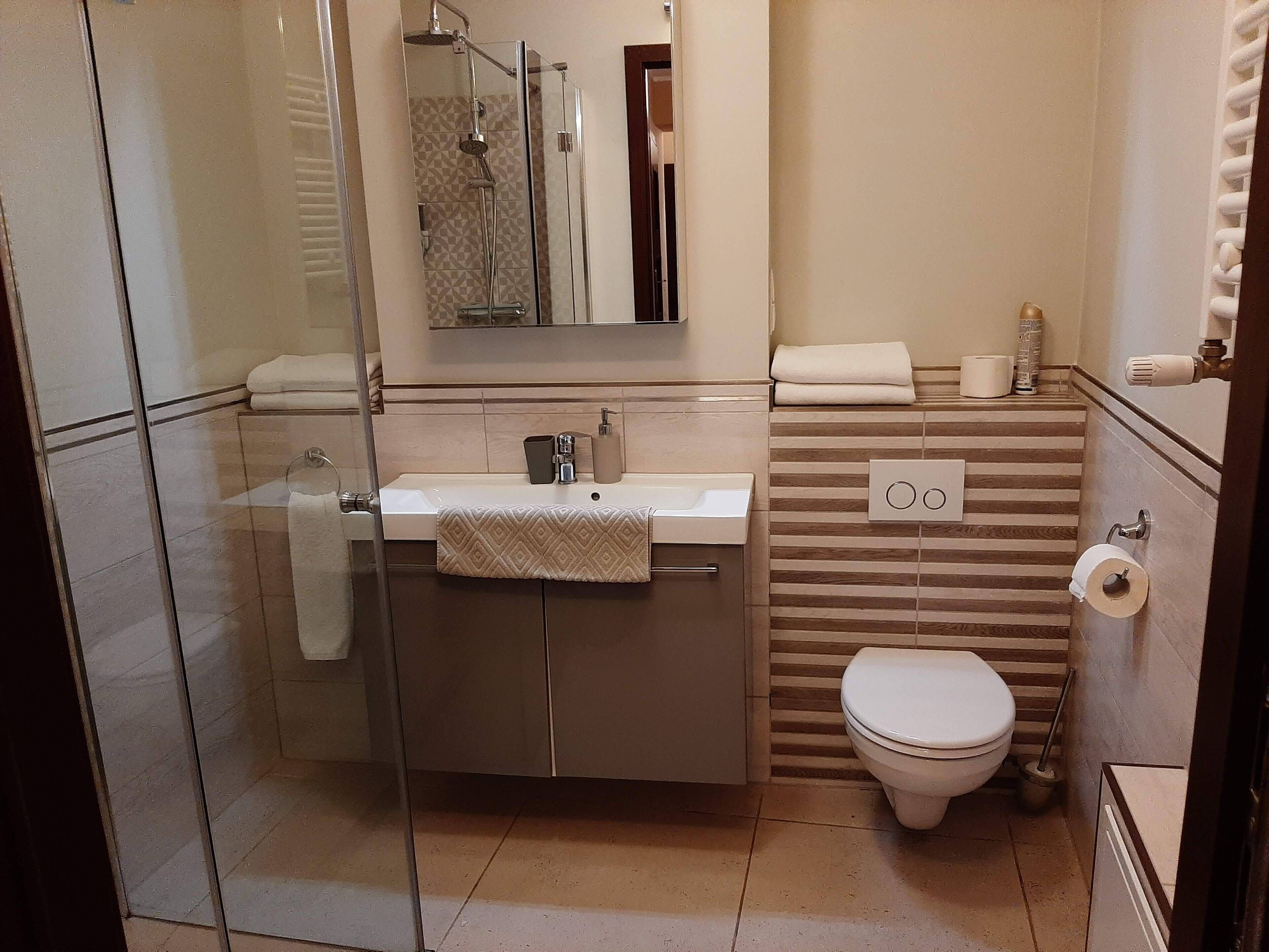 Un baño con ducha de vidrio, un lavamanos con toalla, un inodoro y un espejo sobre el lavamanos.