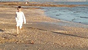 Un niño caminando sobre una playa pedregosa, con el mar al fondo.