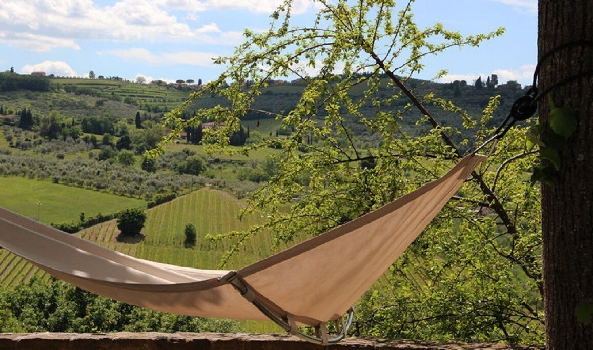 A hammock tied between trees overlooking a lush green landscape with rolling hills and a clear sky.