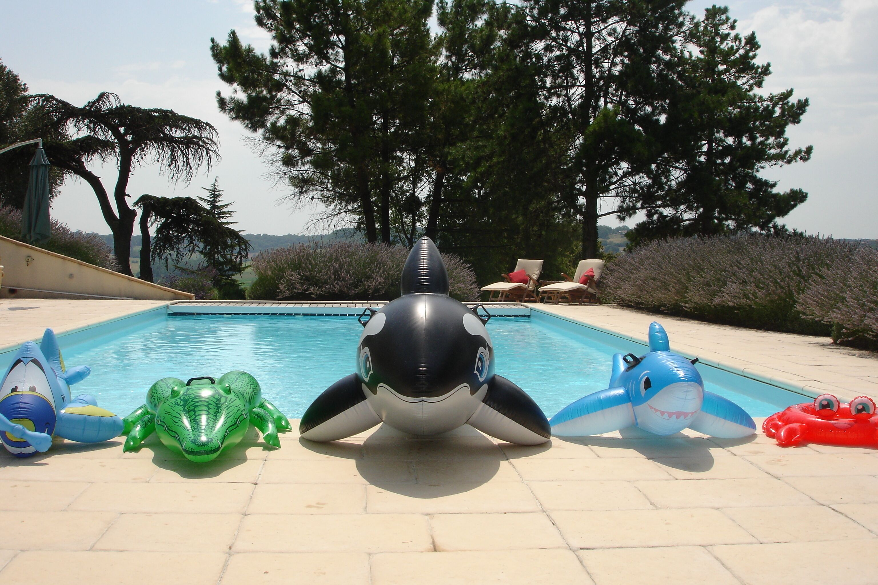 Seasonal outdoor pool, open 9:00 AM to 9:00 PM, pool umbrellas