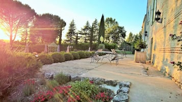 House (Whole site) | Garden view