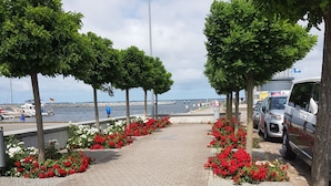 Een geplaveid pad omzoomd met rode bloemen en bomen, dat uitkomt bij een waterkant met boten en een heldere lucht.