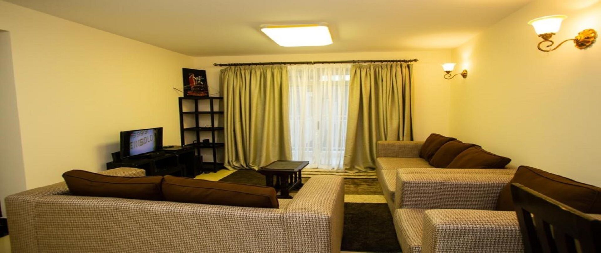 電視、DVD 播放機