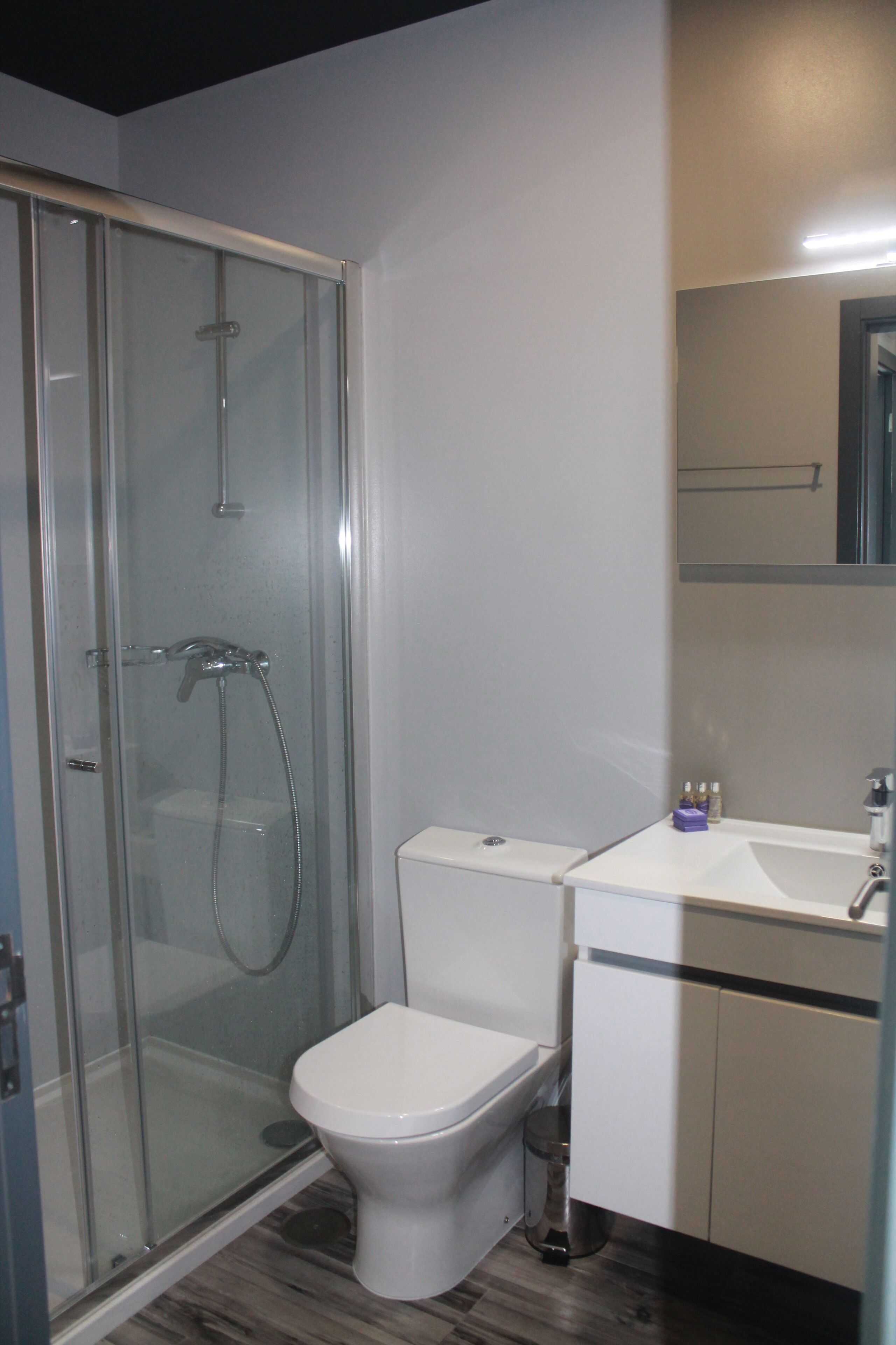 A modern bathroom with a glass-enclosed shower, a white toilet, and a sink with a mirror above it.