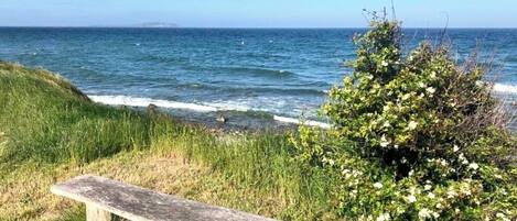 En la playa y camastros