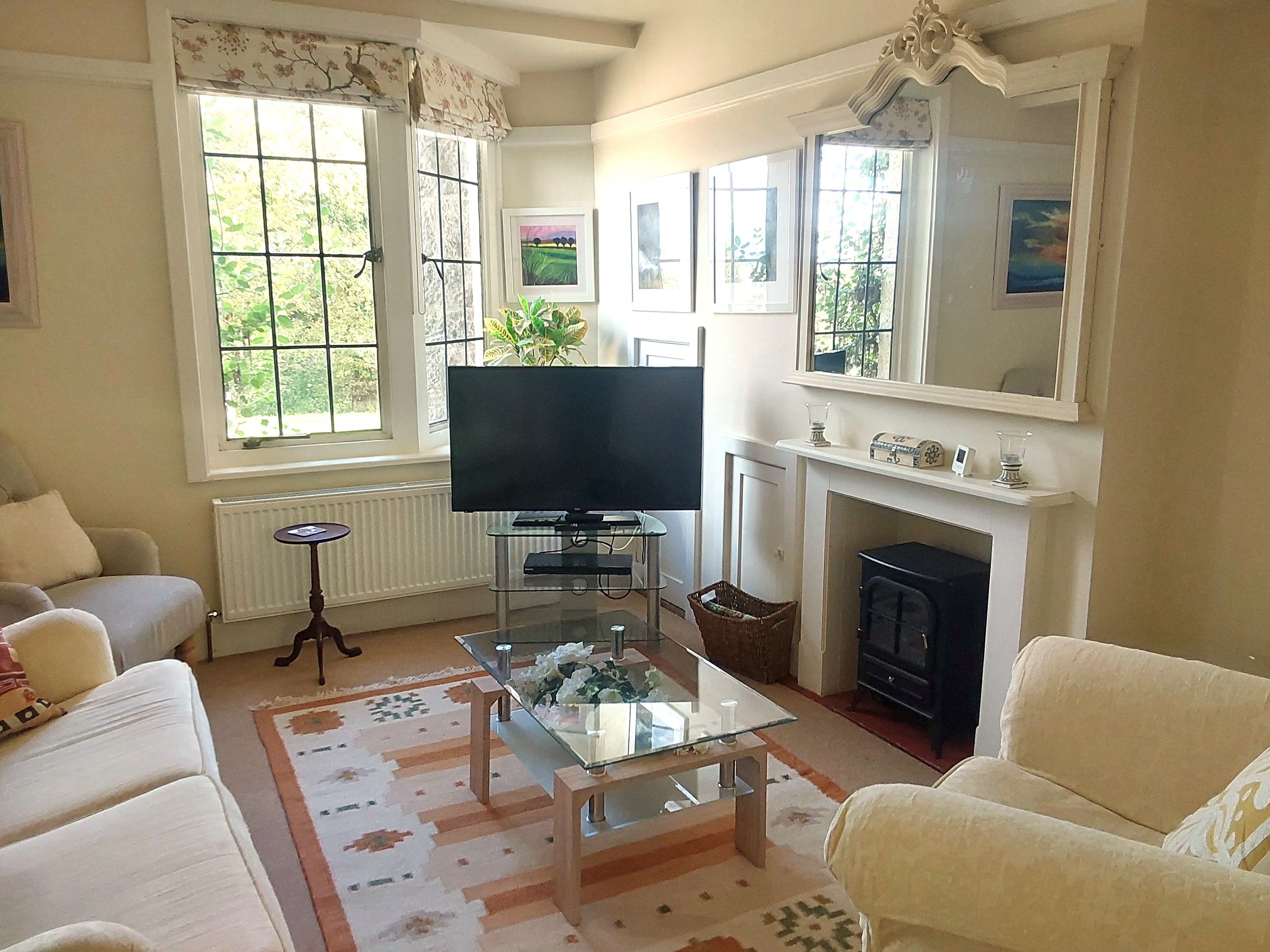 A living room with a television, sofa, fireplace, and large windows.
