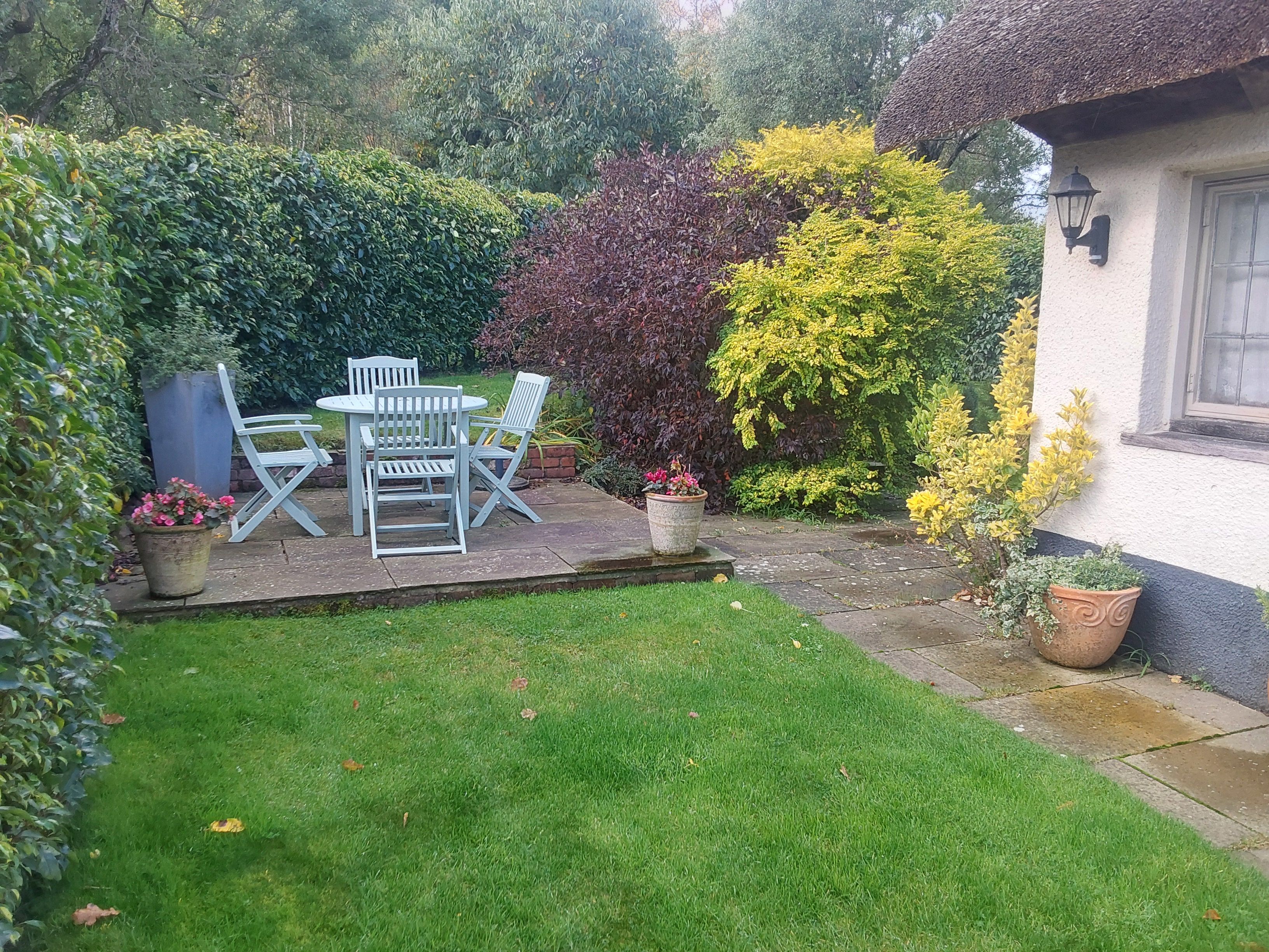 A patio with a table and chairs, surrounded by various plants and a house.