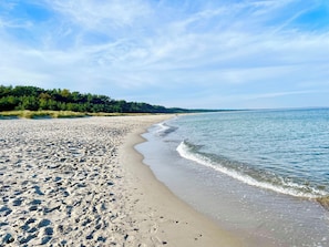 A sandy beach with footprints leading to the water, a clear sky, and a forested area in the background.