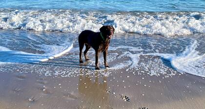 Domicile exclusif - Ă seulement 200m de la mer Baltique