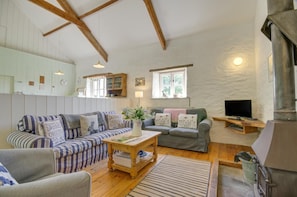 A cozy living room with two sofas, a coffee table, a TV, and a wood-burning stove.