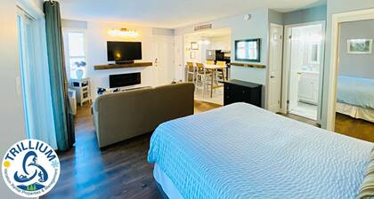 Slopeside Condo - Wifi, Ropa de cama / toallas, Ski In / Out