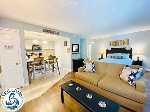 Slopeside Condo - Wifi, Linens/Towels, Ski In/Out