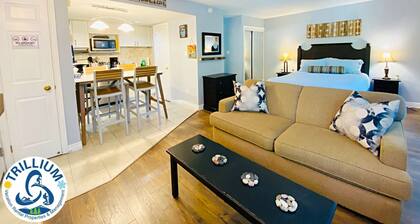 Slopeside Condo - Wifi, Linens/Towels, Ski In/Out