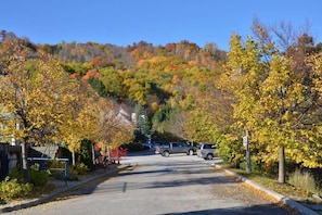 Terrain de l’hébergement