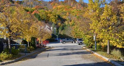 Quiet Hillside Studio - Wifi, Linens/Towels, Free Shuttle