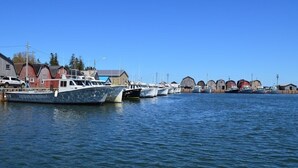 Un port de plaisance avec plusieurs bateaux amarrés, une jetée en bois et des bâtiments en arrière-plan.