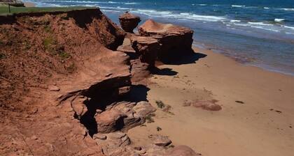 Wavie Waters -mökki