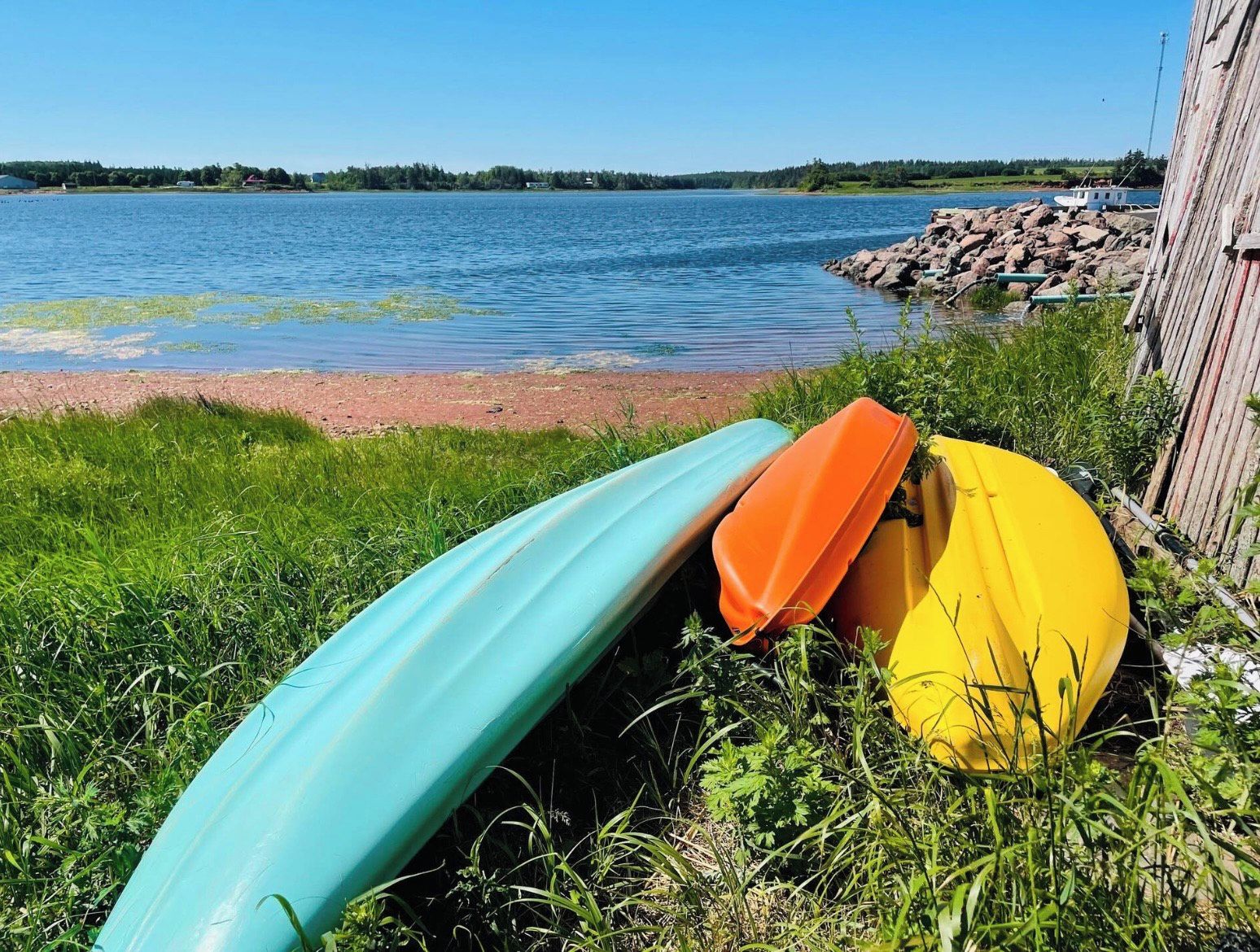 A row of kayaks leaning against a wooden structure by a lake.