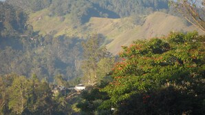 Comfort Quadruple Room | Mountain view - Nelson Grand Boutique Hotel (Bandarawela)