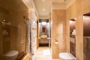 Regadera, secadora de cabello, bidet, toallas