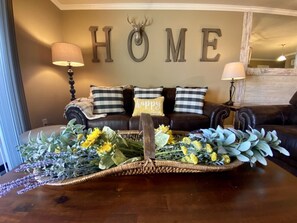 Tv, eldstad och dvd-spelare