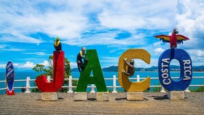 Grandes letras coloridas que deletrean “JACOTA” con loros posados encima, frente a un pintoresco paisaje costero.