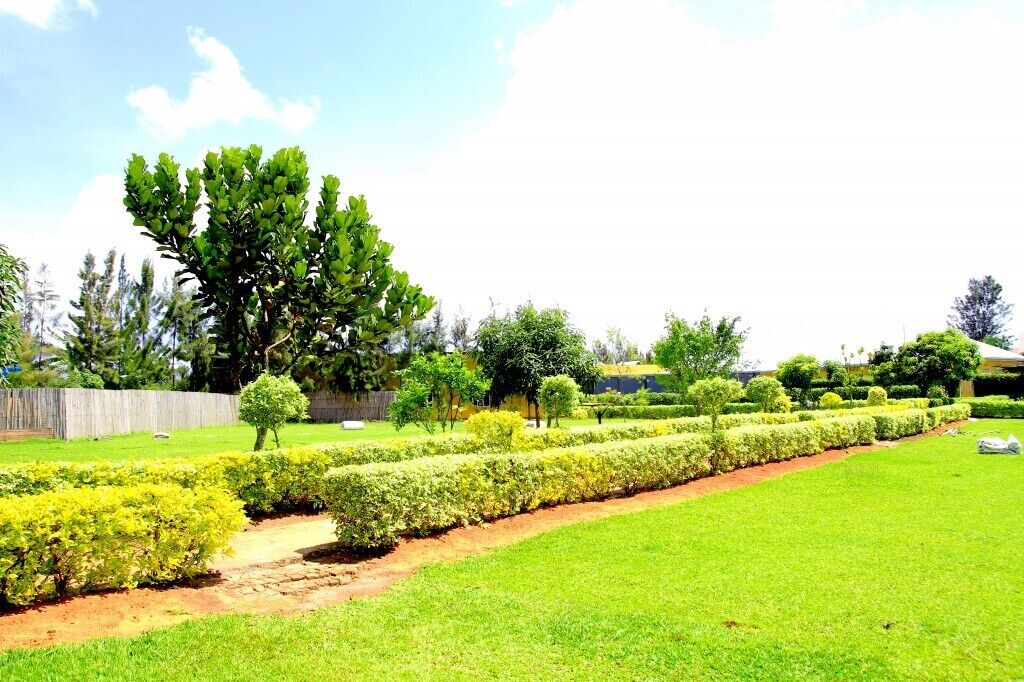 Un jardin bien entretenu, avec des haies soigneusement taillées, une variété d’arbres et un ciel dégagé.