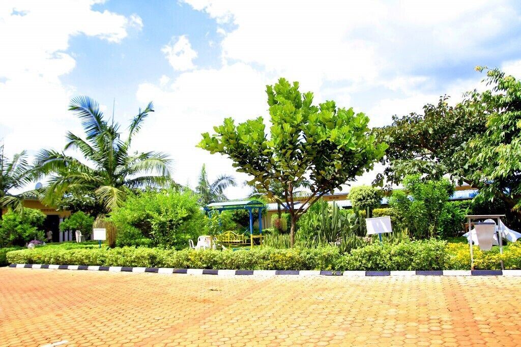 A paved outdoor area with a tree, a covered structure, and a building in the background.