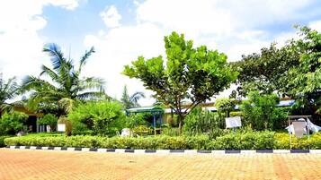 A paved outdoor area with a tree, a covered structure, and a building in the background.