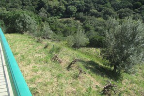 Terrain de lâhĂ©bergement