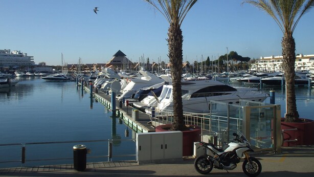 Ein Yachthafen mit vor Anker liegenden Booten, Palmen und blauem Himmel.
