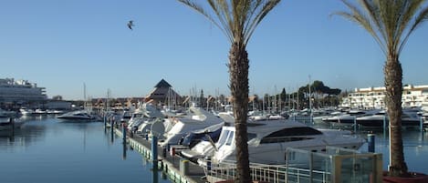 Marina