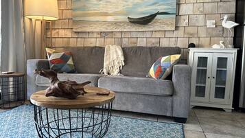 Smart TV, DVD player, books