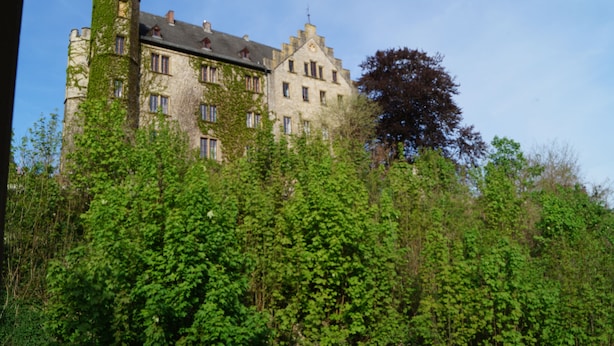 Um edifício que lembra um castelo, com várias janelas e uma torre, rodeado por folhagem verde densa.