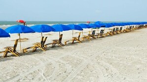 A beach with rows of blue umbrellas and wooden beach chairs aligned along the sand.