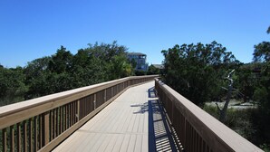 A wooden boardwalk with railings, surrounded by trees and vegetation.