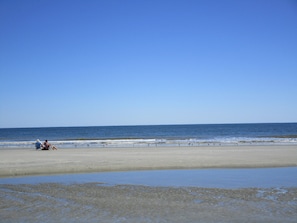 Free beach shuttle - Snowbirds Welcome!  3 night min-Top floor-2 bd/2 bath-Walk to Beach! (Hilton Head Island)