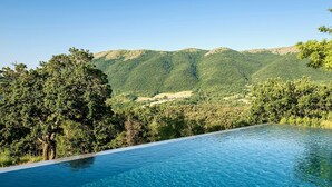 A clear blue infinity pool with a view of a forested mountain range.